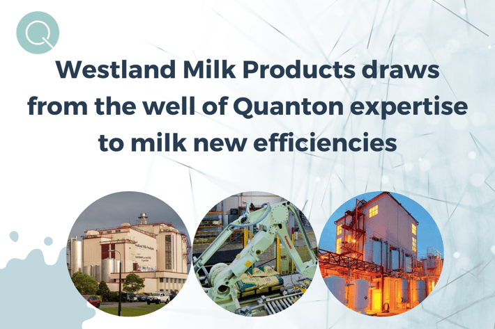 Westland milk blog 